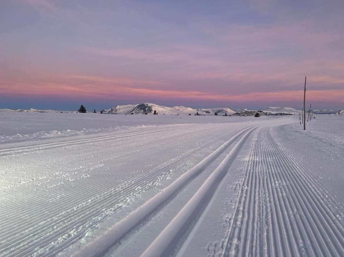 Golsfjellet - Bualie, Milevis Med Sykkelveier, Fiske Og Vannaktivitet, Ski Inn/Ut Til Alpinanlegg Og Langrennsloyper. エクステリア 写真