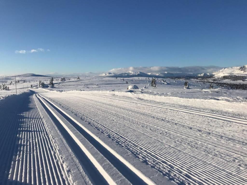 Golsfjellet - Bualie, Milevis Med Sykkelveier, Fiske Og Vannaktivitet, Ski Inn/Ut Til Alpinanlegg Og Langrennsloyper. エクステリア 写真