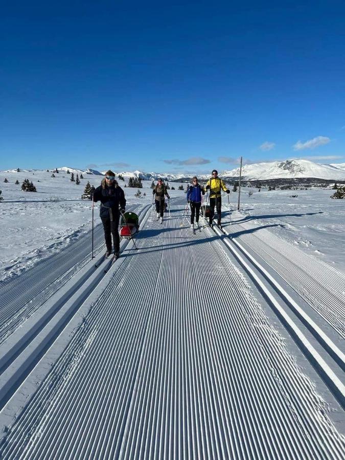 Golsfjellet - Bualie, Milevis Med Sykkelveier, Fiske Og Vannaktivitet, Ski Inn/Ut Til Alpinanlegg Og Langrennsloyper. エクステリア 写真