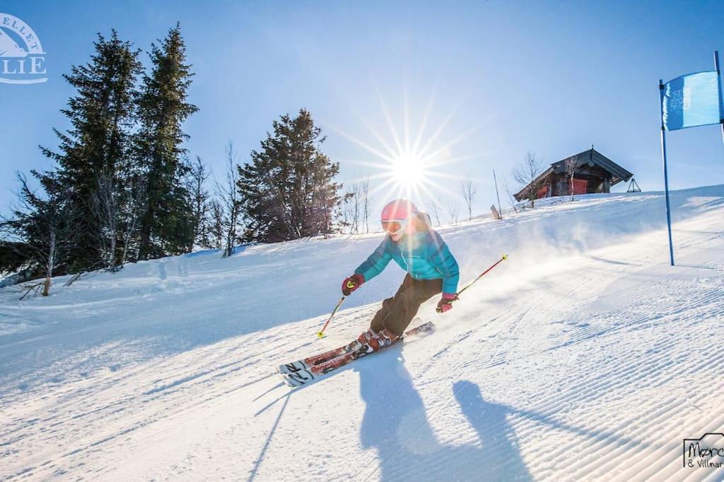 Golsfjellet - Bualie, Milevis Med Sykkelveier, Fiske Og Vannaktivitet, Ski Inn/Ut Til Alpinanlegg Og Langrennsloyper. エクステリア 写真