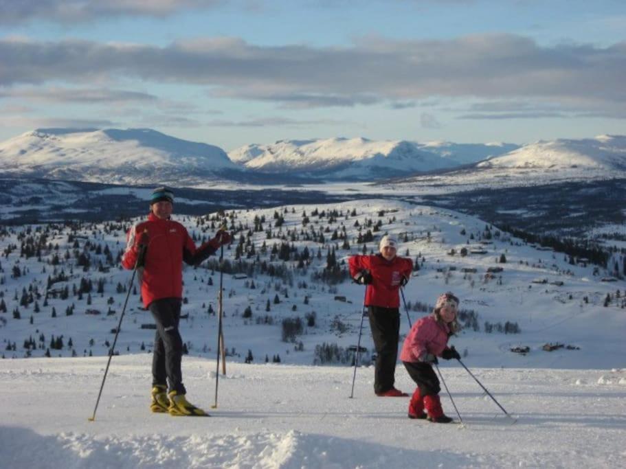 Golsfjellet - Bualie, Milevis Med Sykkelveier, Fiske Og Vannaktivitet, Ski Inn/Ut Til Alpinanlegg Og Langrennsloyper. エクステリア 写真