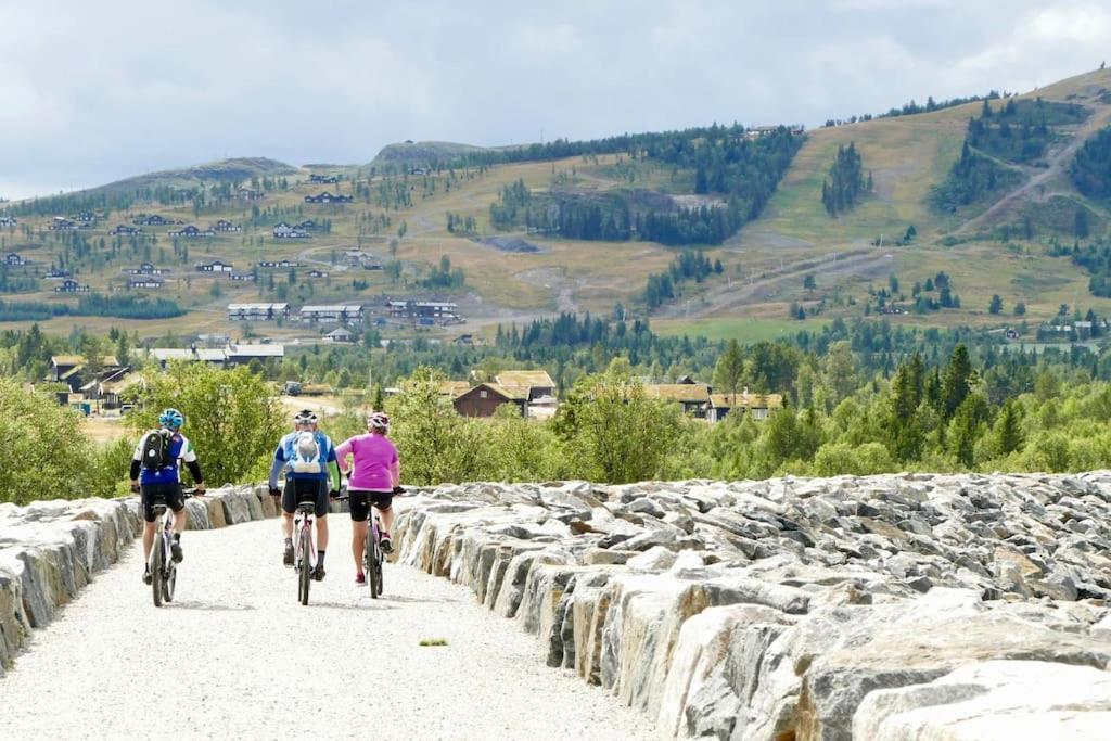 Golsfjellet - Bualie, Milevis Med Sykkelveier, Fiske Og Vannaktivitet, Ski Inn/Ut Til Alpinanlegg Og Langrennsloyper. エクステリア 写真