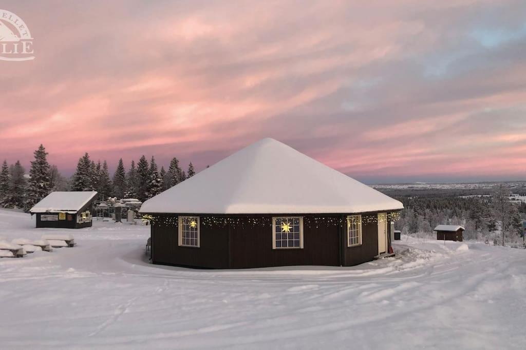 Golsfjellet - Bualie, Milevis Med Sykkelveier, Fiske Og Vannaktivitet, Ski Inn/Ut Til Alpinanlegg Og Langrennsloyper. エクステリア 写真