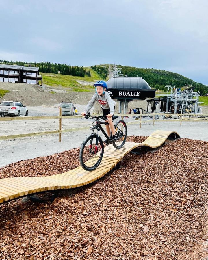 Golsfjellet - Bualie, Milevis Med Sykkelveier, Fiske Og Vannaktivitet, Ski Inn/Ut Til Alpinanlegg Og Langrennsloyper. エクステリア 写真